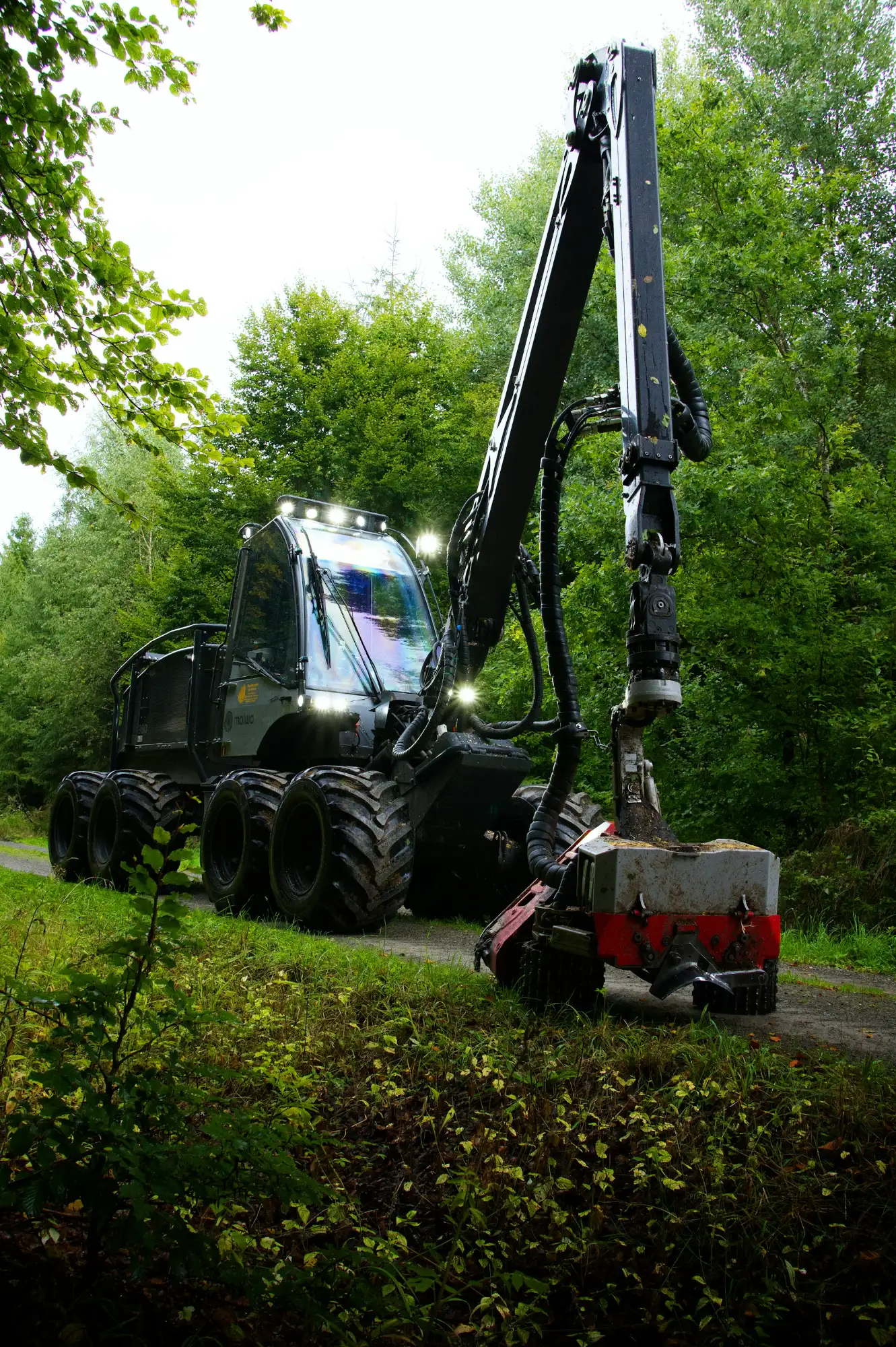 Harvester NIKORTYM w lesie